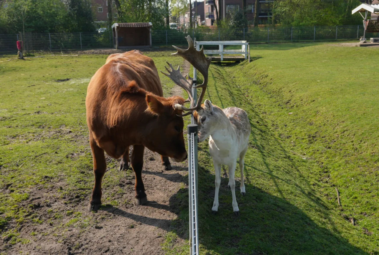  - Enschede Promotie