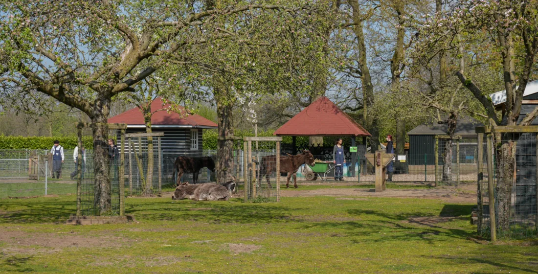  - Enschede Promotie