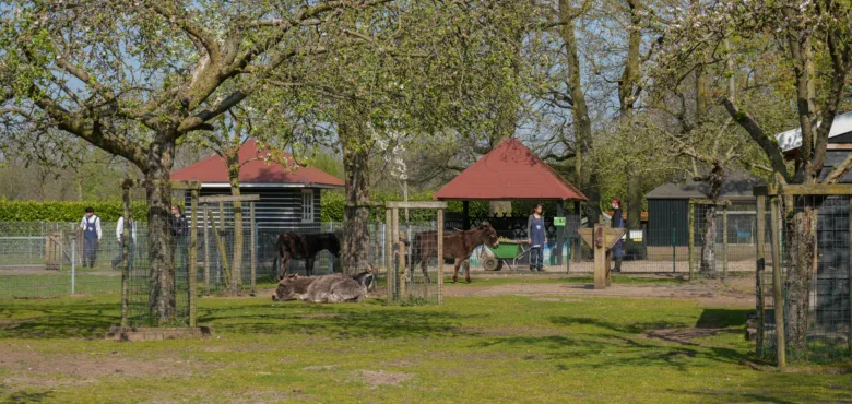  - Enschede Promotie